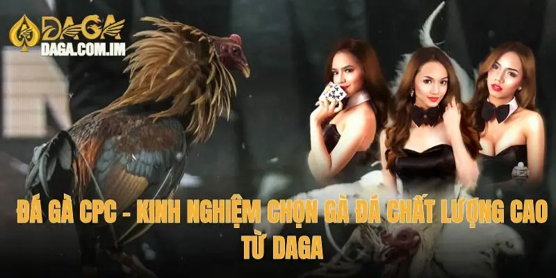 Đá gà CPC