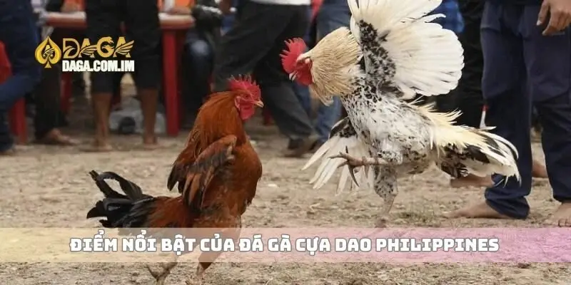 Điểm nổi bật của đá gà cựa dao Philippines
