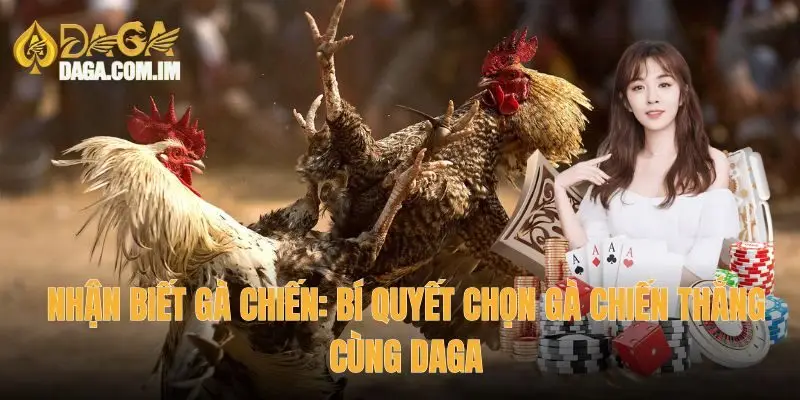 Nhận biết gà chiến