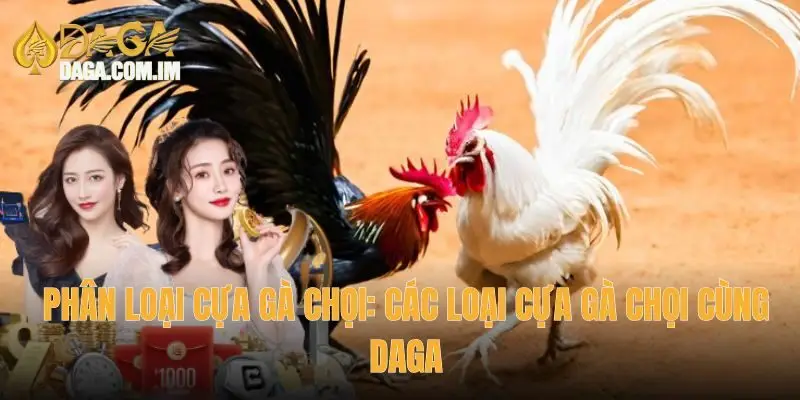 Phân loại cựa gà chọi