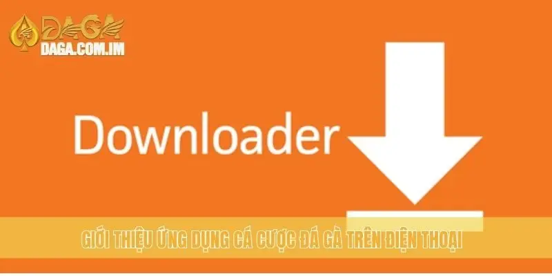 Giới thiệu ứng dụng cá cược đá gà trên điện thoại